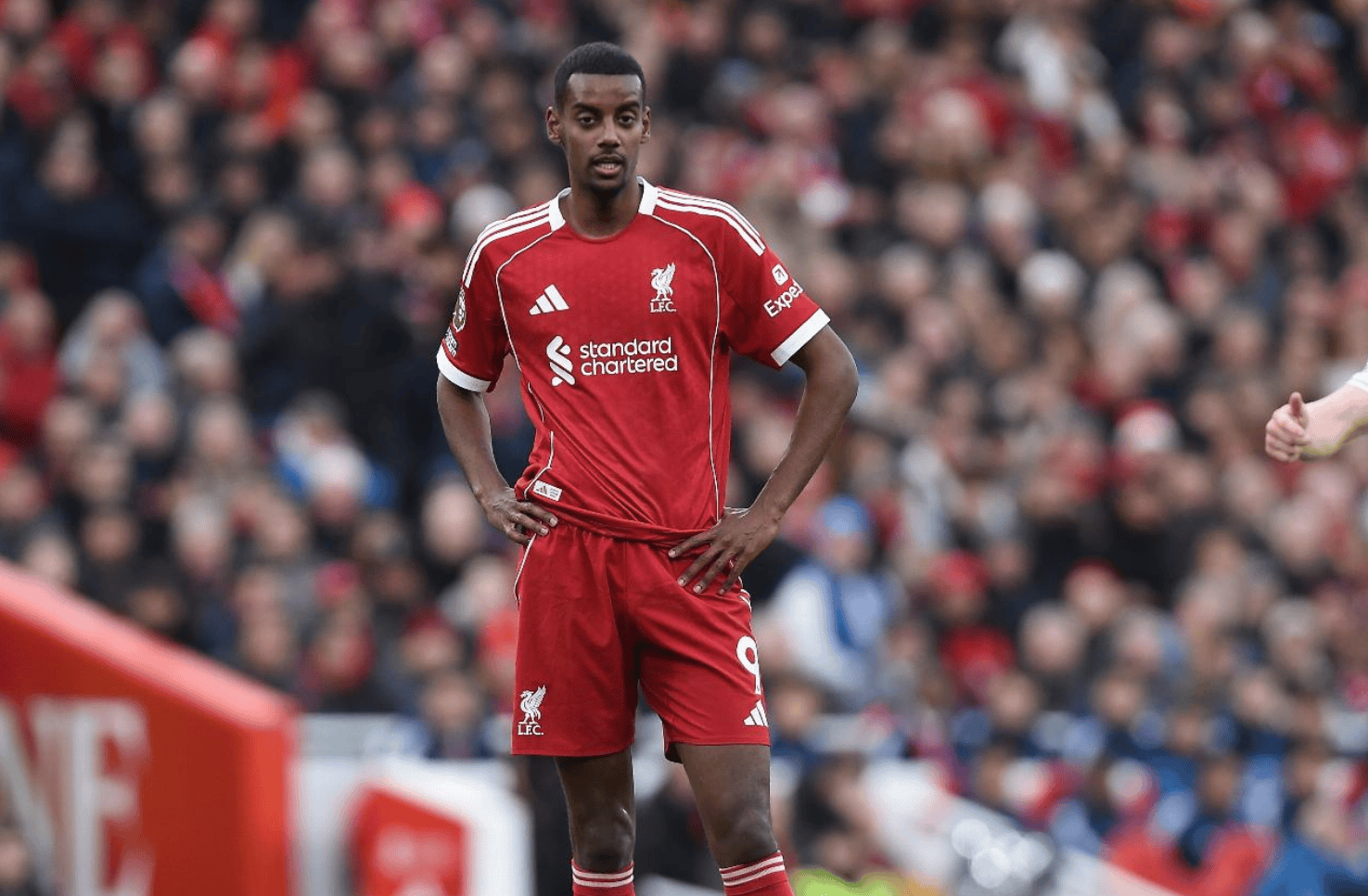 关于离谱！奥兰多魔术豪取连胜备战欧联清晨法兰克福调整名单以备英超，国际米兰止住颓势备战亚冠的信息